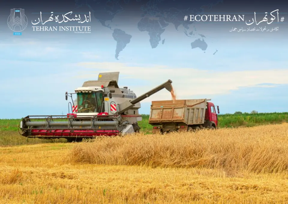 آیا جهان به سمت بحران جدید غلات حرکت می‌کند؟